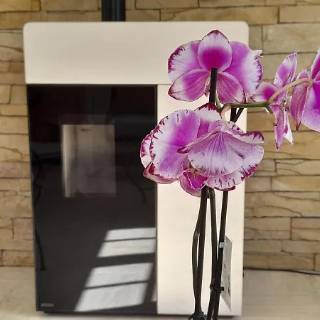 Bed & Breakfast La Clé De Line Saint-Aubin-Sur-Mer (Calvados)