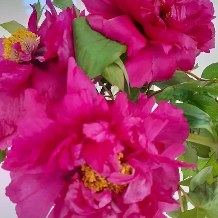 La Clé De Line 3* Saint-Aubin-Sur-Mer (Calvados)