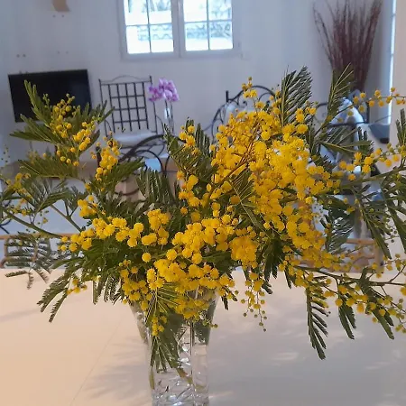 La Clé De Line Saint-Aubin-Sur-Mer (Calvados)