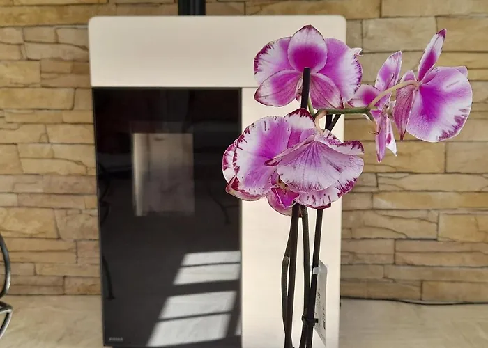 Bed & Breakfast La Cle De Line Saint-Aubin-Sur-Mer (Calvados)