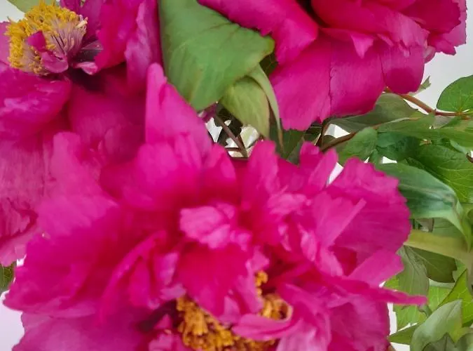 La Cle De Line 3* Saint-Aubin-Sur-Mer (Calvados)